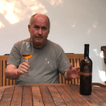sturm sauvignon 2009 vino