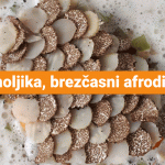 Gomoljika