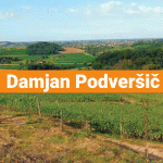 Damjan-Podveršič
