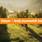 steyer