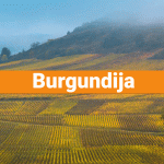 Burgundija