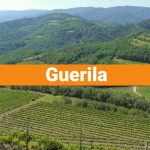 guerila
