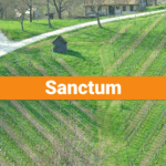 santcum
