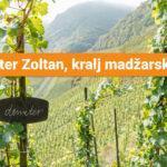 Weinberg_Demeter_Schild__A2A9343_Copyright-Fotostudio-Viscom1 (1)