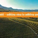 vina-batič