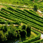Veneto