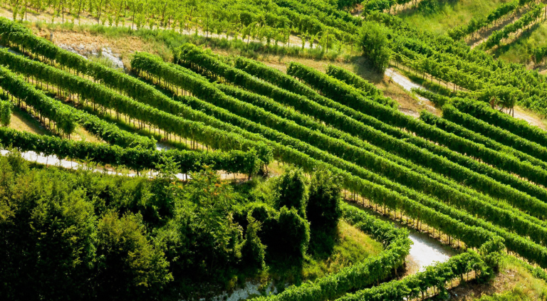 Veneto