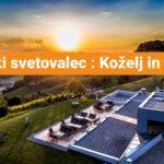 vina-kozelj