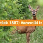 jamšek