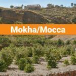 Mokha