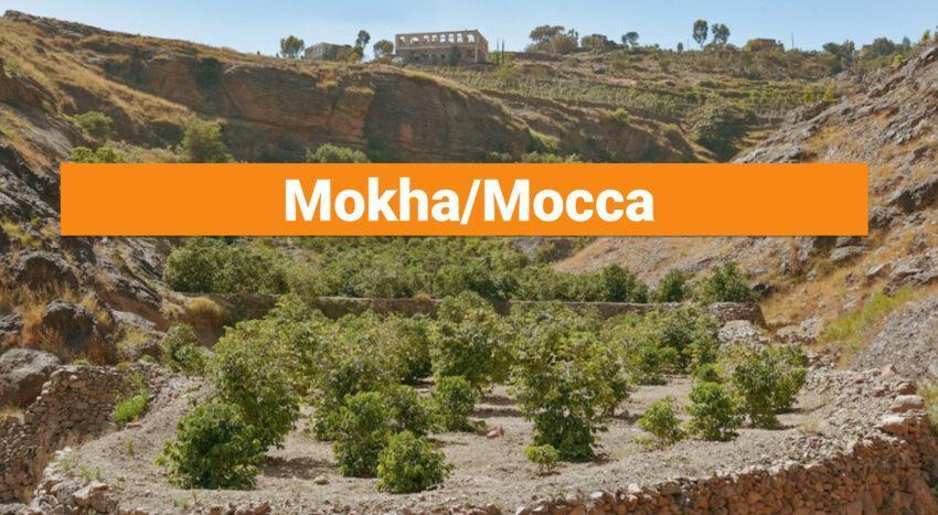 Mokha