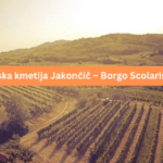 https://www.jakoncic.eu/#pid=4