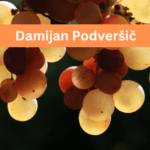 Damijan Podveršič