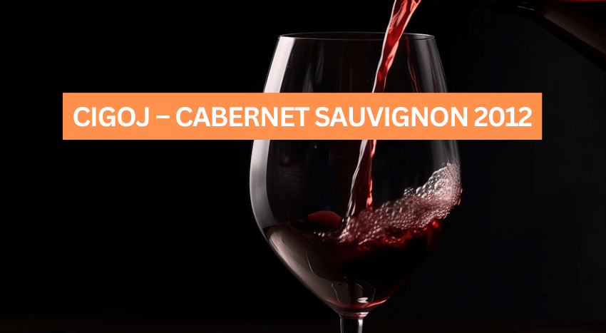 CIGOJ – CABERNET SAUVIGNON 2012
