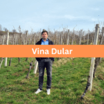 dular