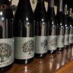 Grand Pinot Noir Tasting v Tilia Estate