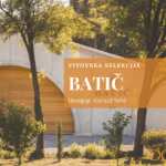 Batič – vitovska selekcija 2024