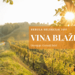 Vina Blažič