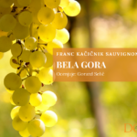 Bela gora – Franc Kačičnik sauvignon selekcija 2022