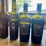 Degustacija v Mas Amielu