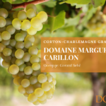 Domaine Marguerite Carillon