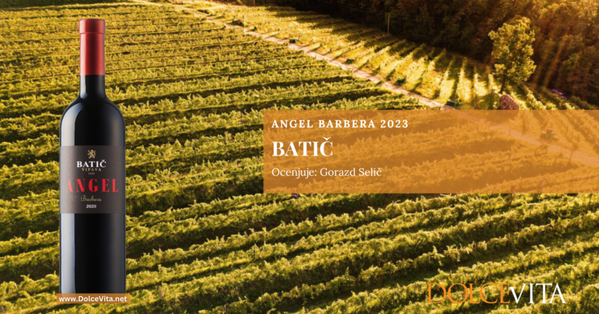 Batič Angel barbera 2023, vrhunsko rdeče vino iz Vipavske doline