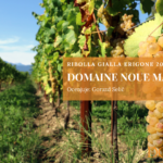 Domaine Noue Marinič ribolla gialla Erigone 2021 – briška rebula