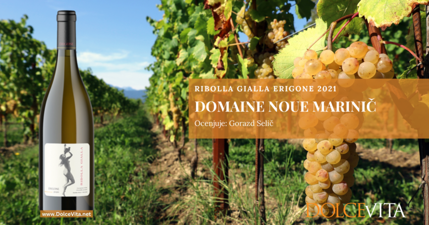 Domaine Noue Marinič ribolla gialla Erigone 2021 – briška rebula