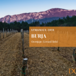 Burja Stranice 2018 – jantarno vino iz Vipavske doline